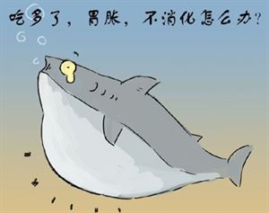 83235897_3.jpg 83235897_3.jpg